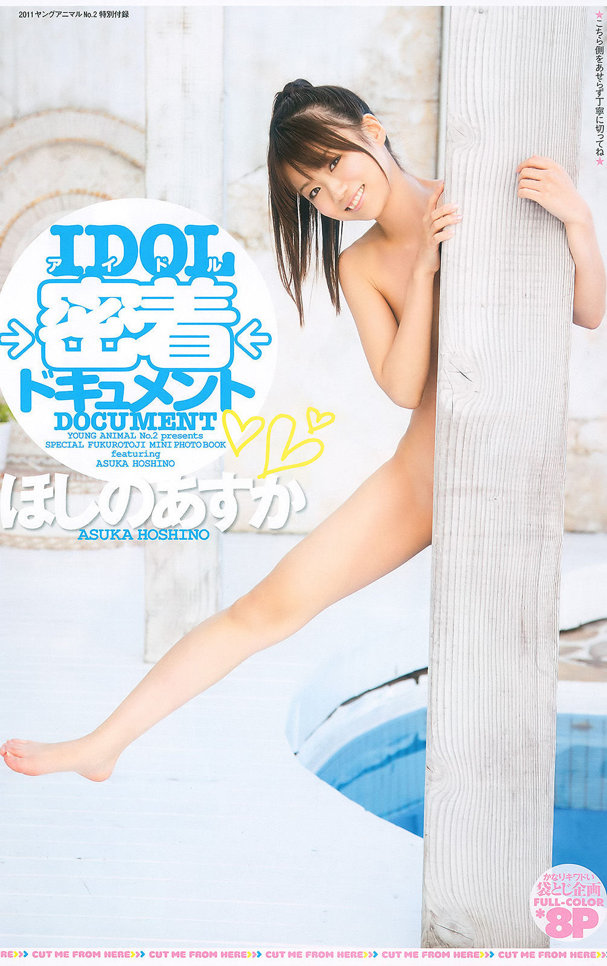 Asuka Hoshino ほしのあすか, Young Animal 2011 No.02 (ヤングアニマル 2011年2号)