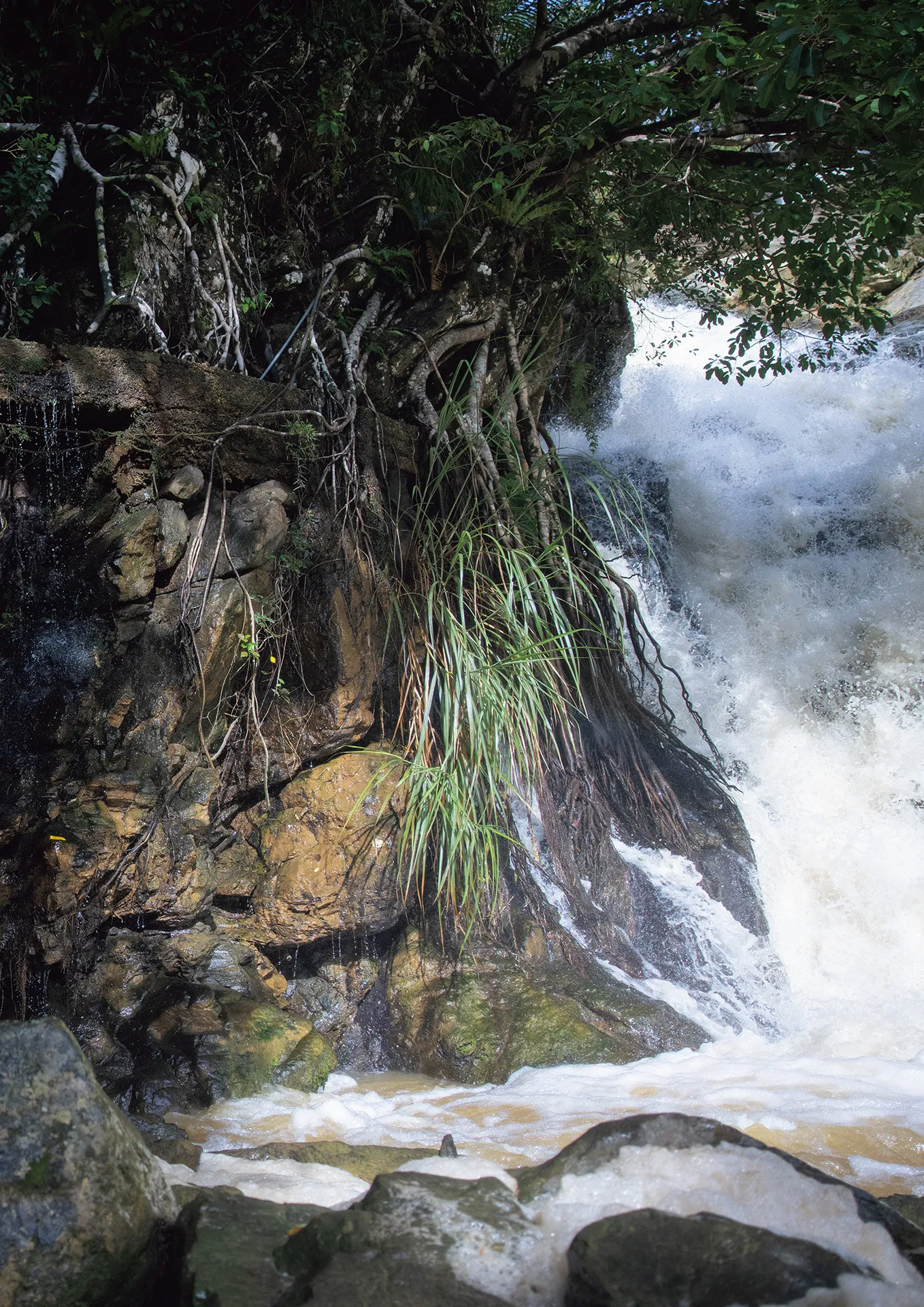 アサ芸SEXY女優写真集 美乃すずめ ｎｙｍｐｈ