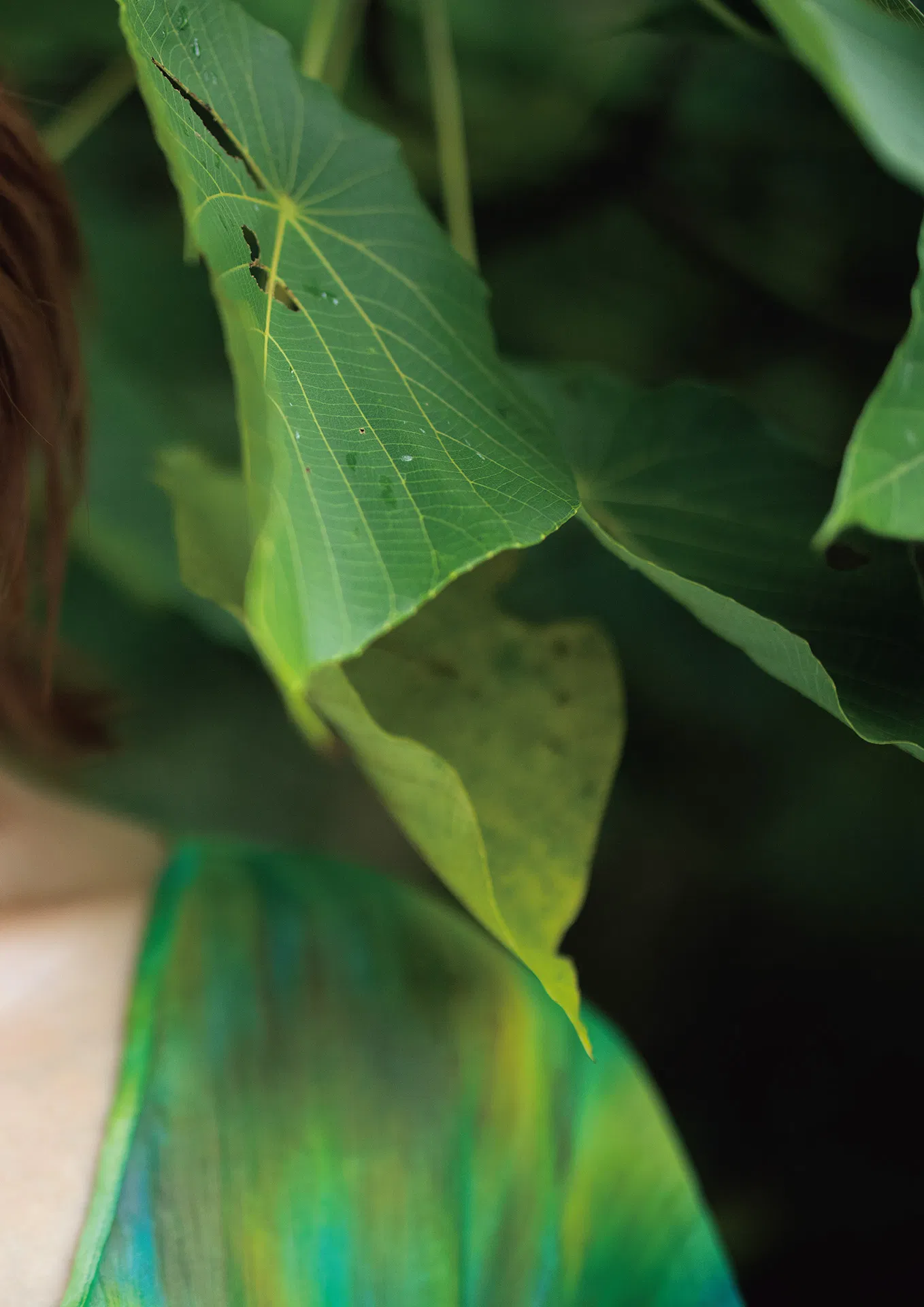 アサ芸SEXY女優写真集 美乃すずめ ｎｙｍｐｈ