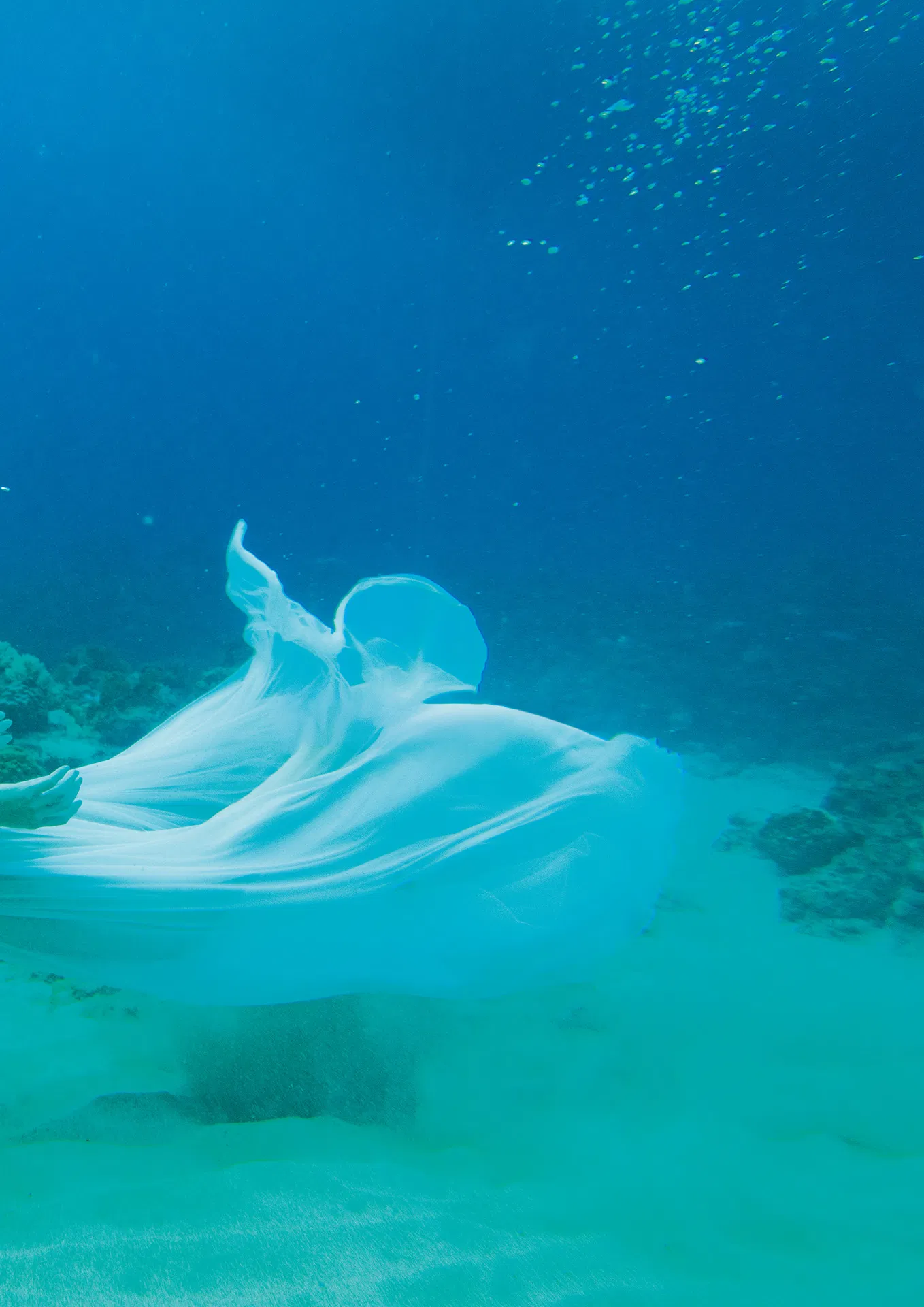 アサ芸SEXY女優写真集 美乃すずめ ｎｙｍｐｈ