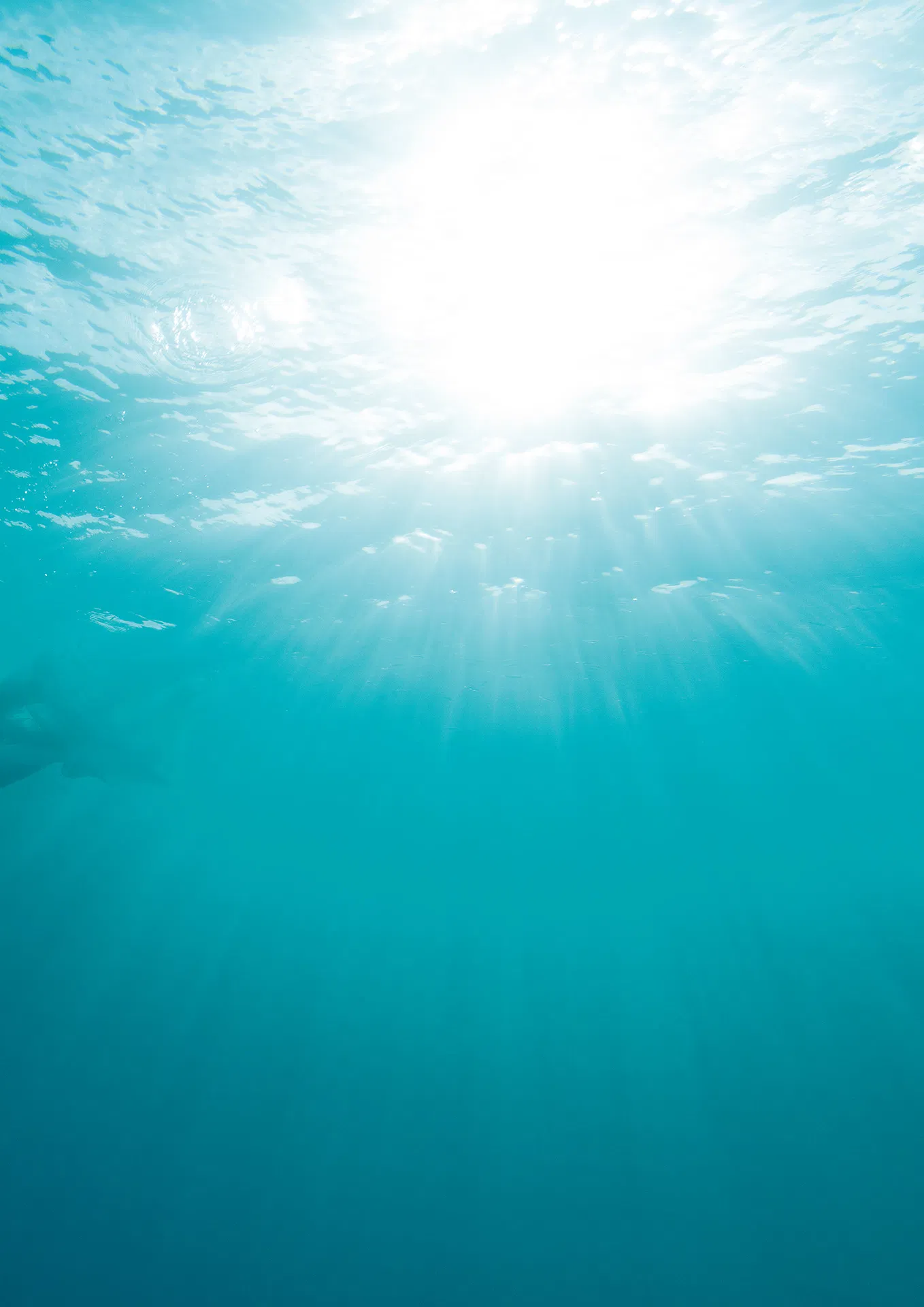 アサ芸SEXY女優写真集 美乃すずめ ｎｙｍｐｈ