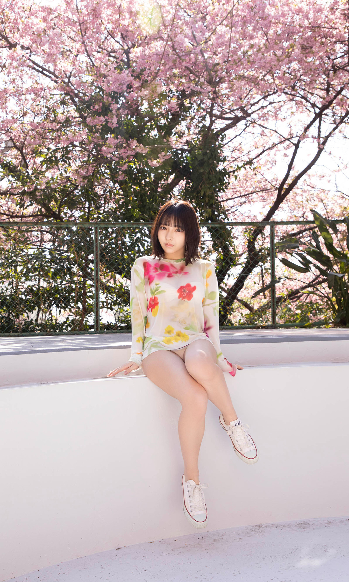 Toumi 十味, 周プレ Photo Book 「キミと春らんまん」 Set.01