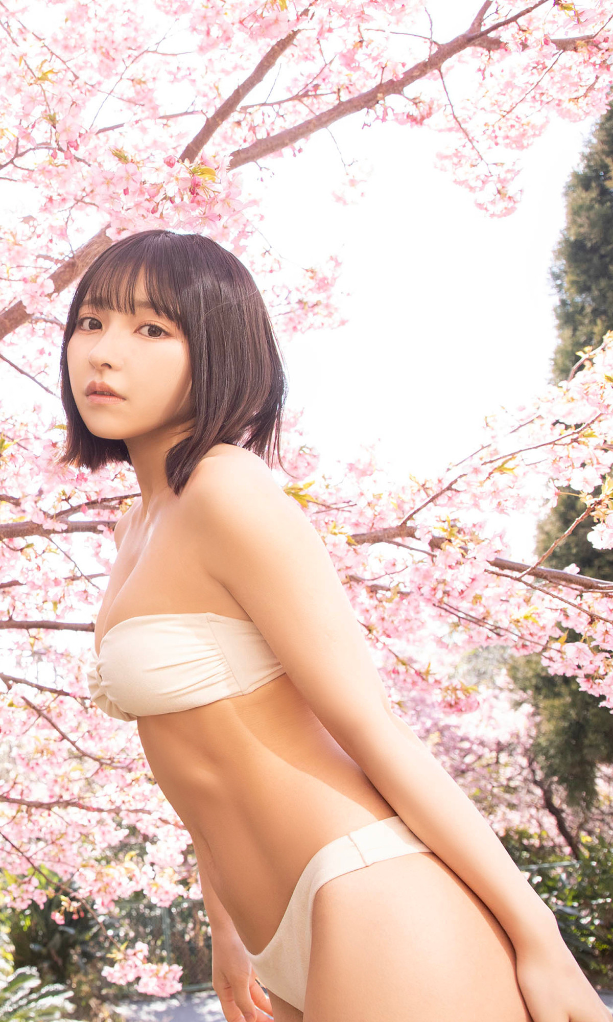 Toumi 十味, 周プレ Photo Book 「キミと春らんまん」 Set.01