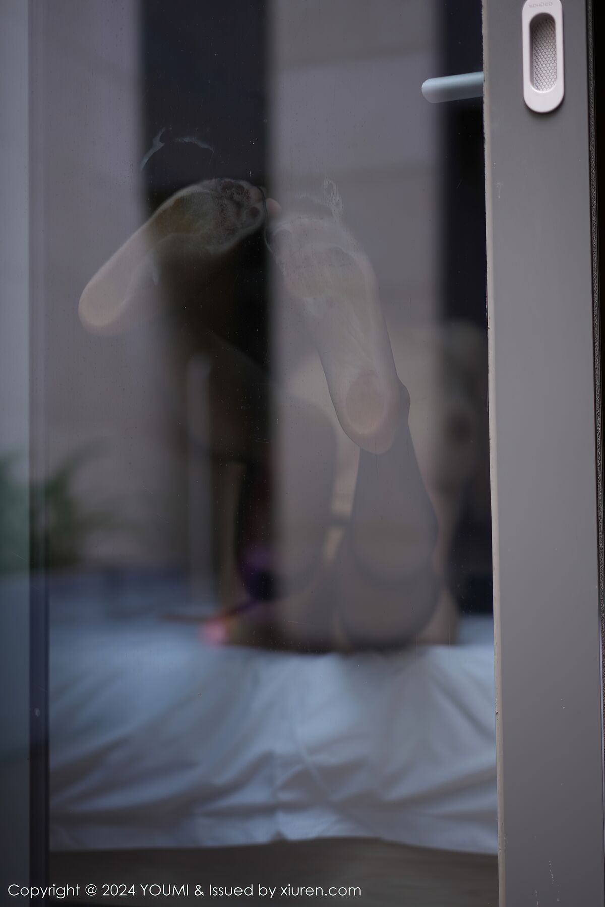 YouMi尤蜜荟 Vol.1082 Li Yan Xi