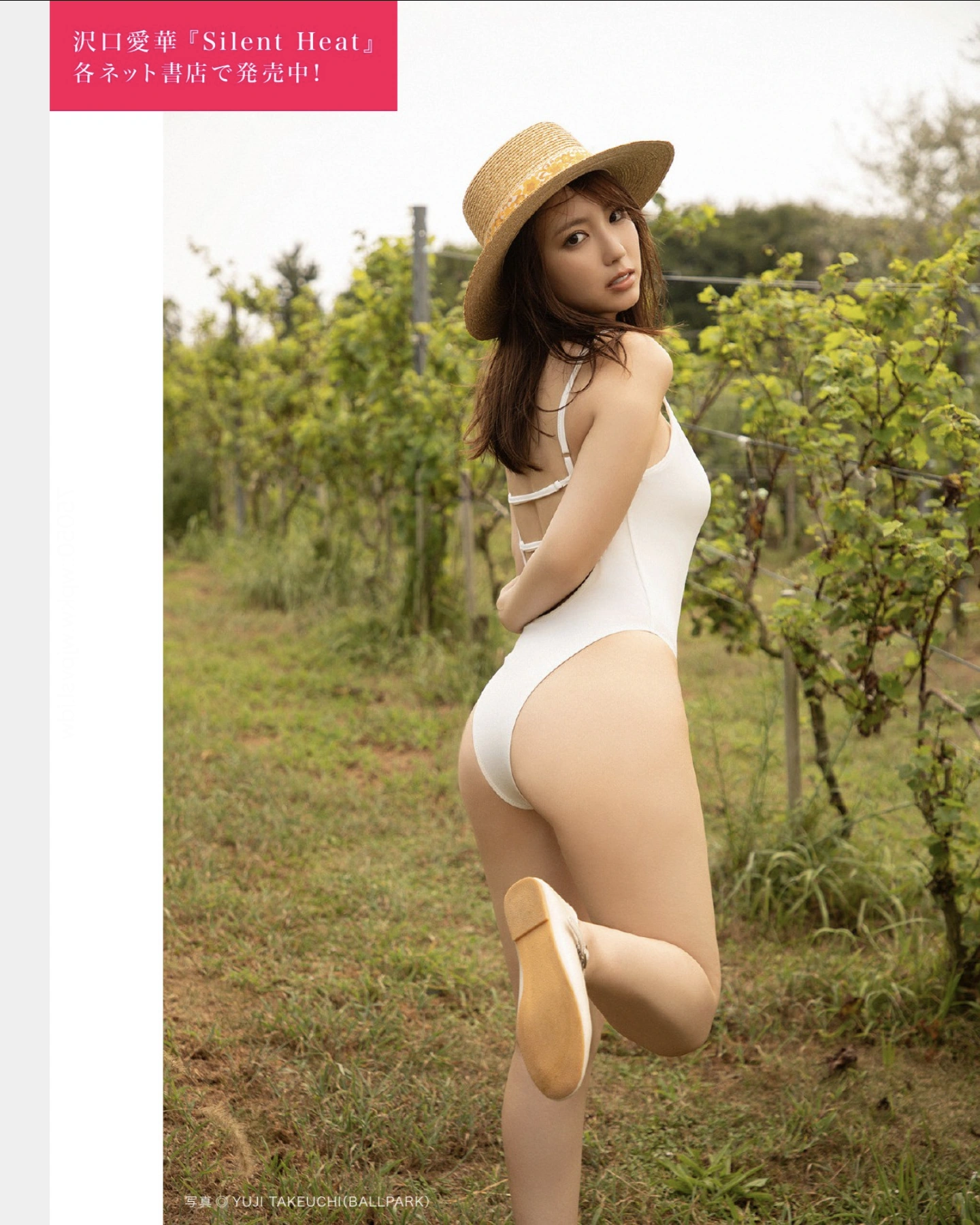 FLASHデジタル写真集の名作, FLASH 2025.11.25 (フラッシュ 2025年11月25日号)