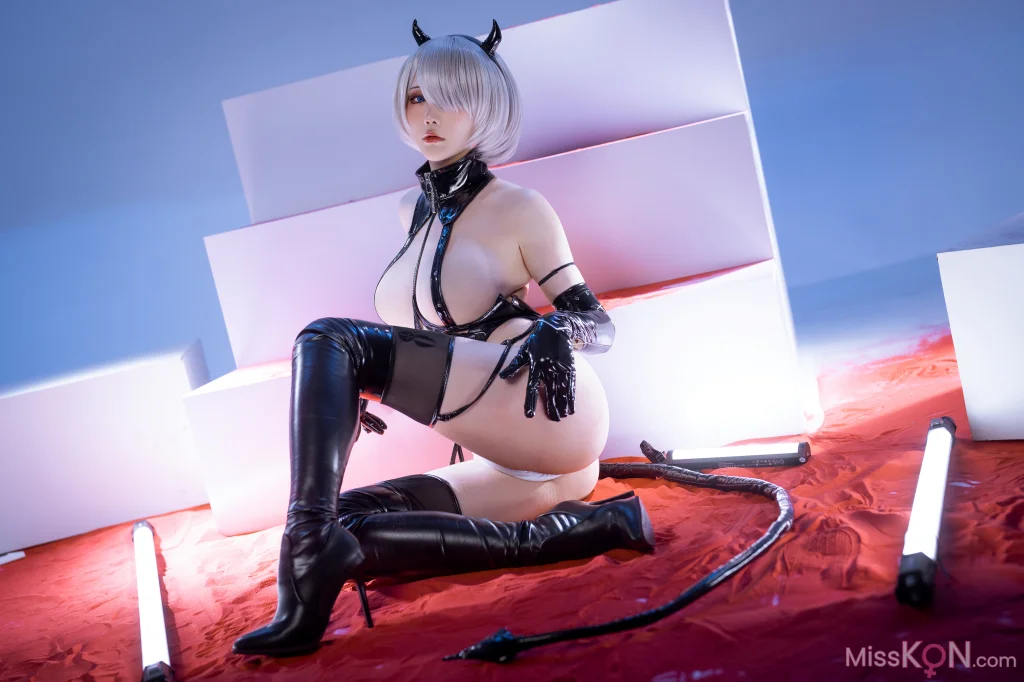 Coser@星之迟迟Hoshilily_ 尼尔 2B同人