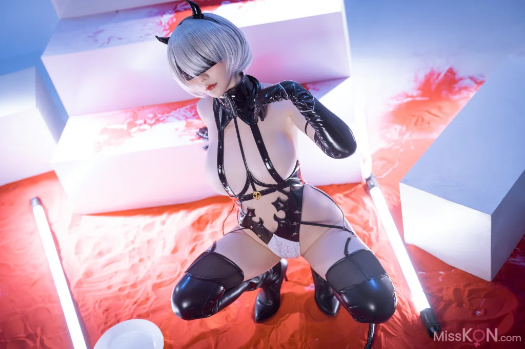 Coser@星之迟迟Hoshilily_ 尼尔 2B同人