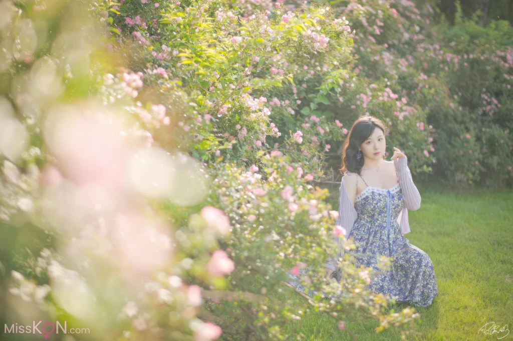 Coser@皮皮奶可可爱了啦_ 蔷薇花