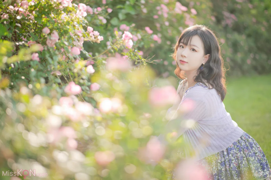 Coser@皮皮奶可可爱了啦_ 蔷薇花