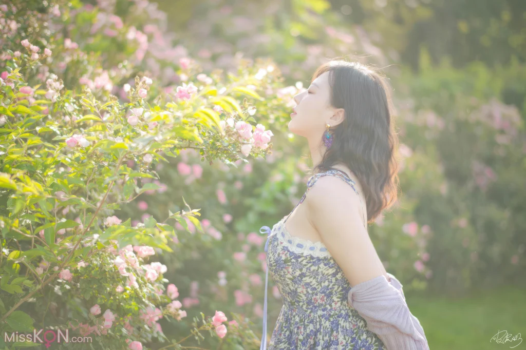 Coser@皮皮奶可可爱了啦_ 蔷薇花