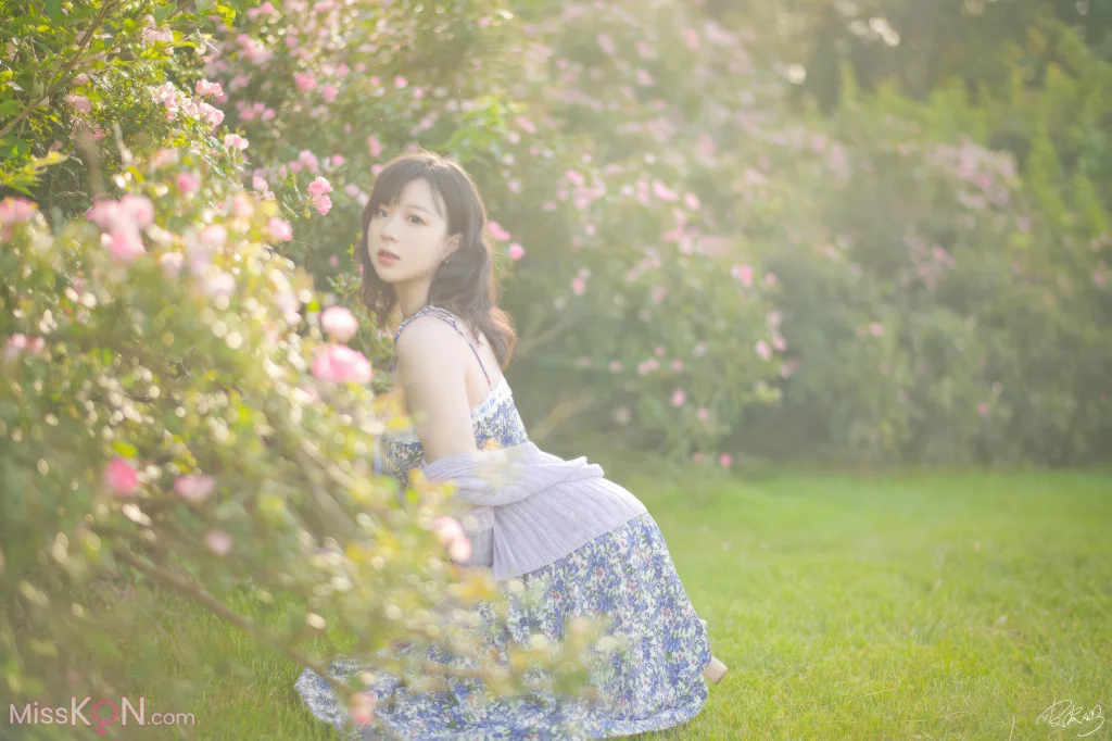 Coser@皮皮奶可可爱了啦_ 蔷薇花