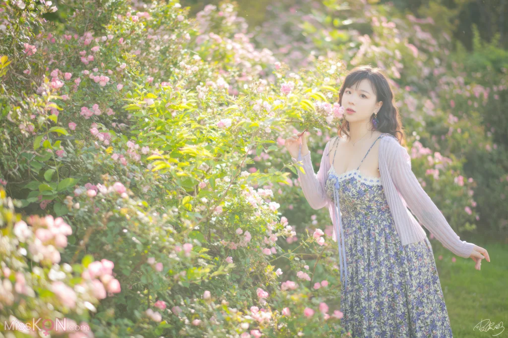 Coser@皮皮奶可可爱了啦_ 蔷薇花