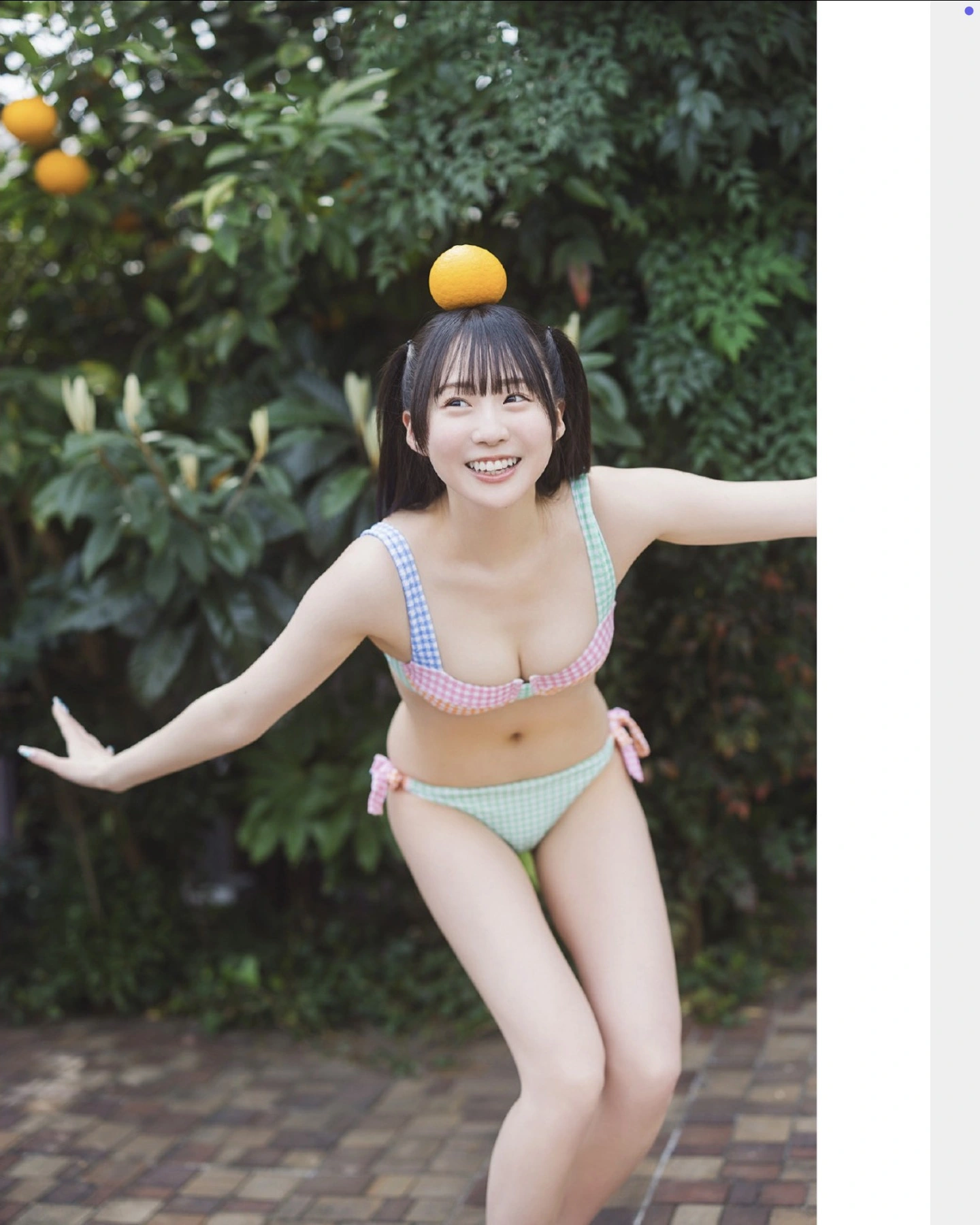 FLASHデジタル写真集の名作, FLASH 2025.11.11 (フラッシュ 2025年11月11日号)