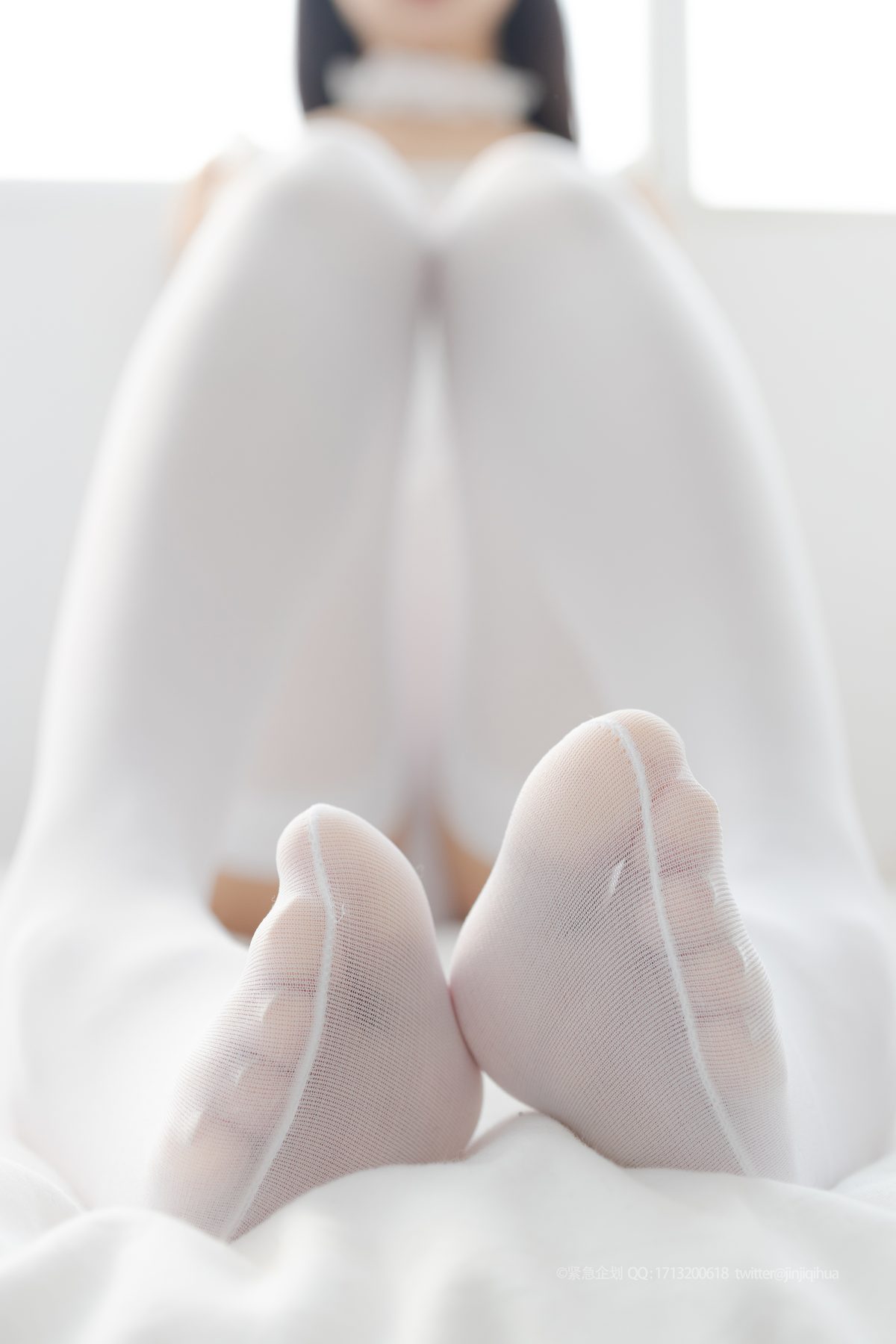 紧急企划 Yi Zhi Miao Miao Zi 一只喵喵梓