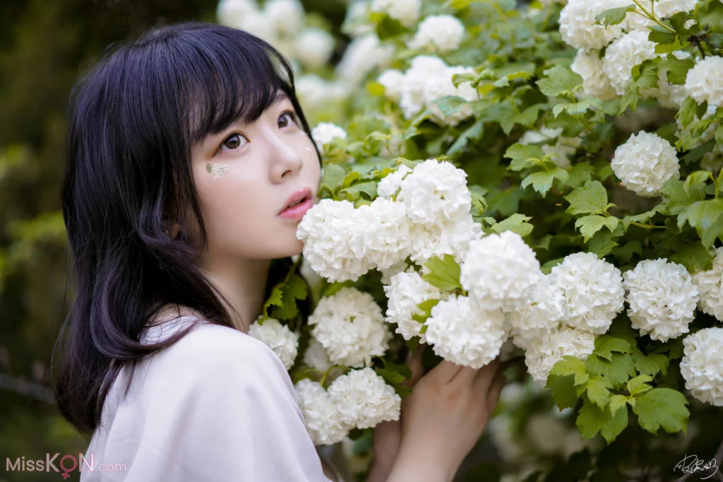 Coser@皮皮奶可可爱了啦_ 绣球花