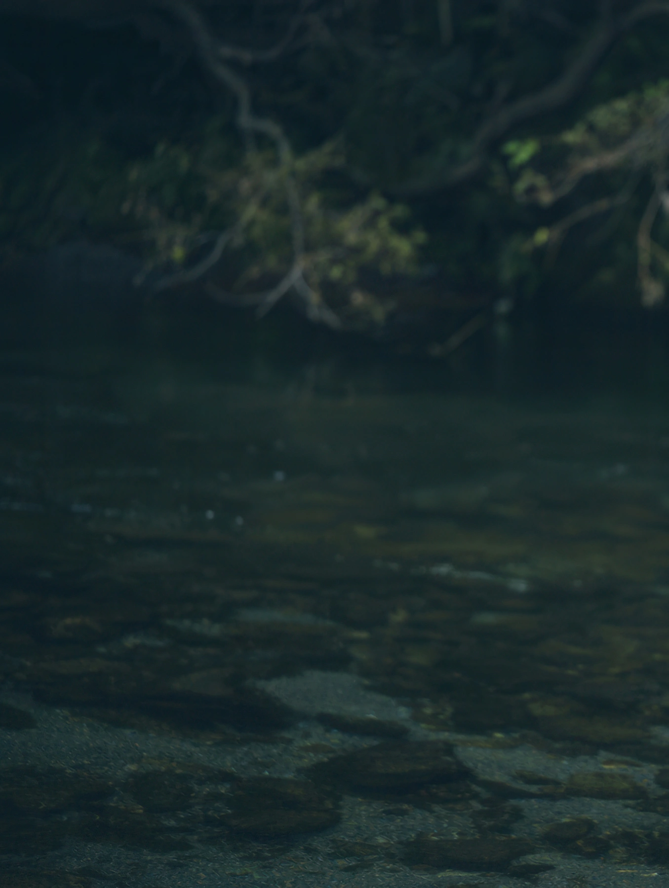 Ruka Kitano 北野瑠華, 週プレ＋Special No.327 「Chapter 01」 Set.02