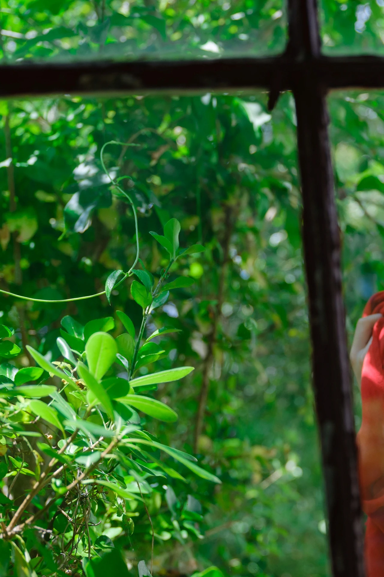 Ikechan いけちゃん, FRIDAYデジタル写真集 「人気YouTuberと癒やしの休日」 Set.02