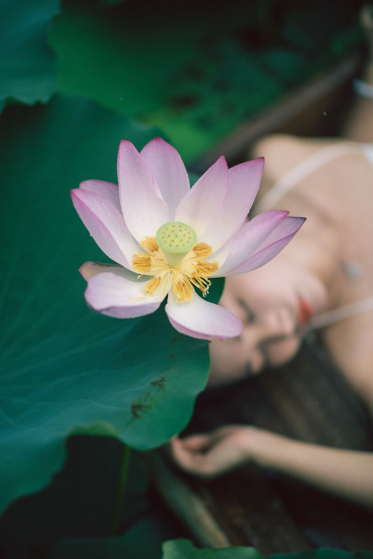 YiTuYu艺图语 Vol.8733 Ju Zi