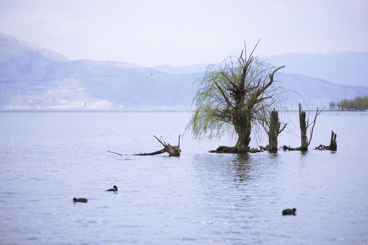 YiTuYu艺图语 Vol.8843 Wan Wan