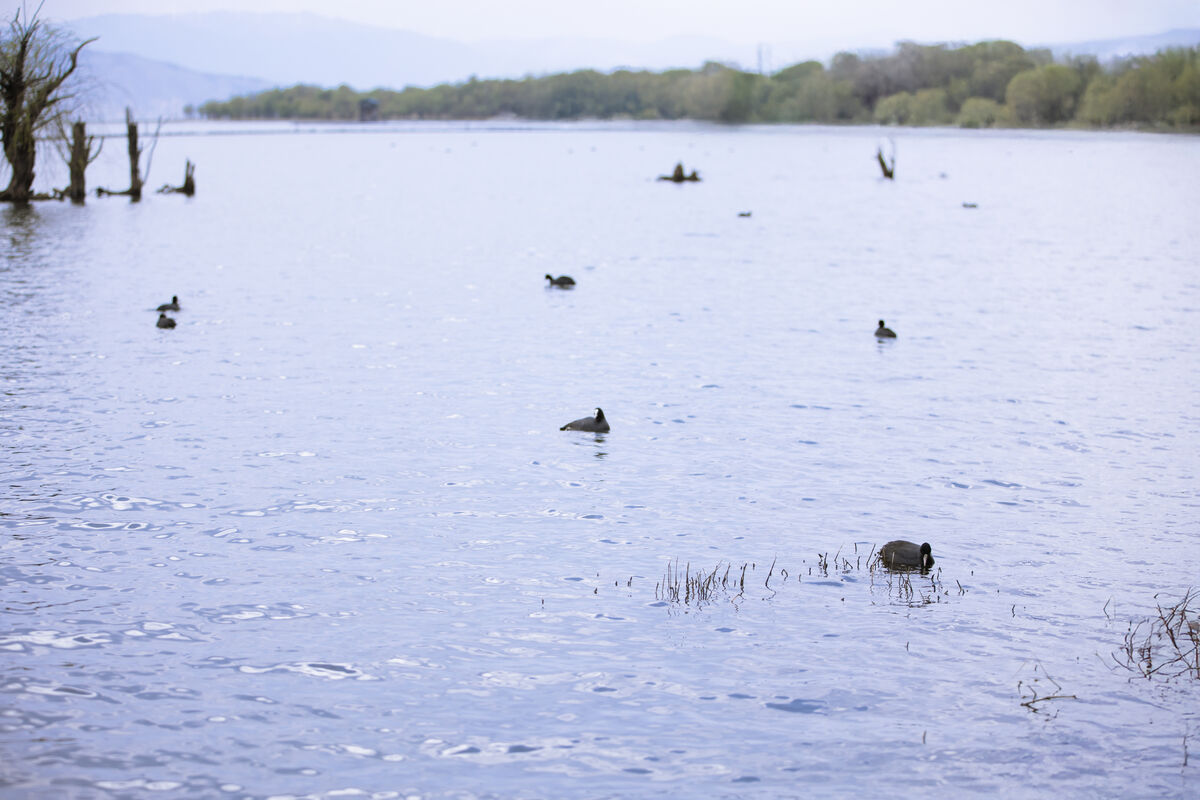 YiTuYu艺图语 Vol.8843 Wan Wan