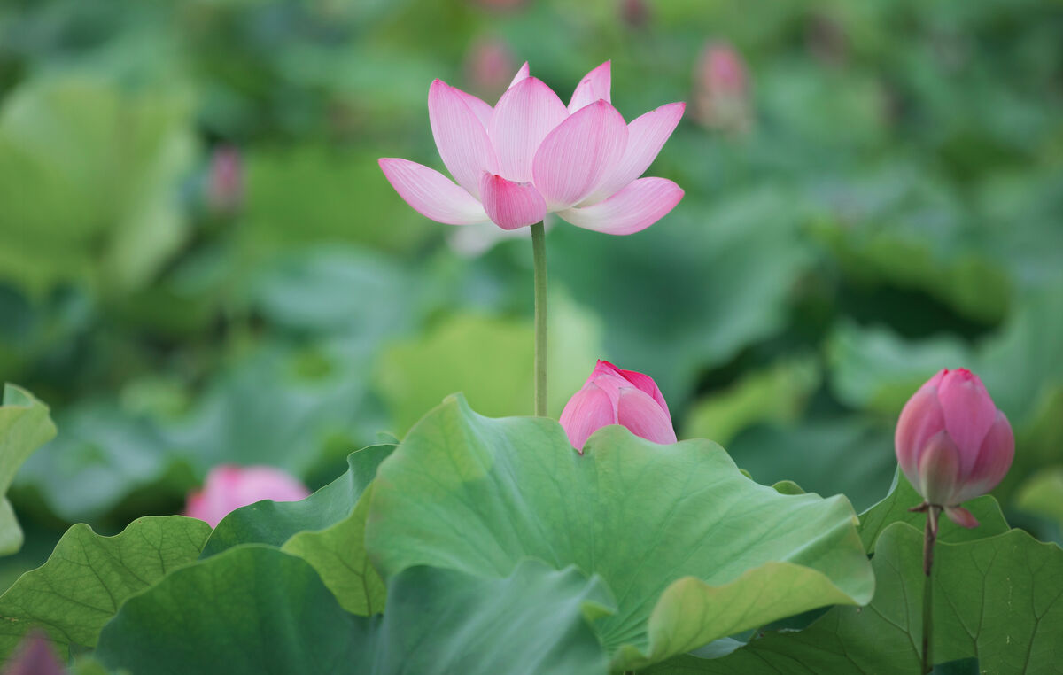 YiTuYu艺图语 Vol.8702 Xu Jin Huan