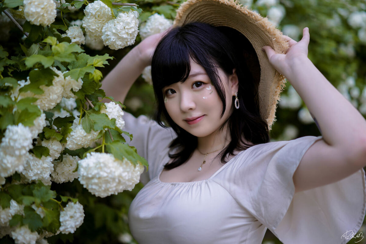 Coser@皮皮奶可可爱了啦 - 绣球花