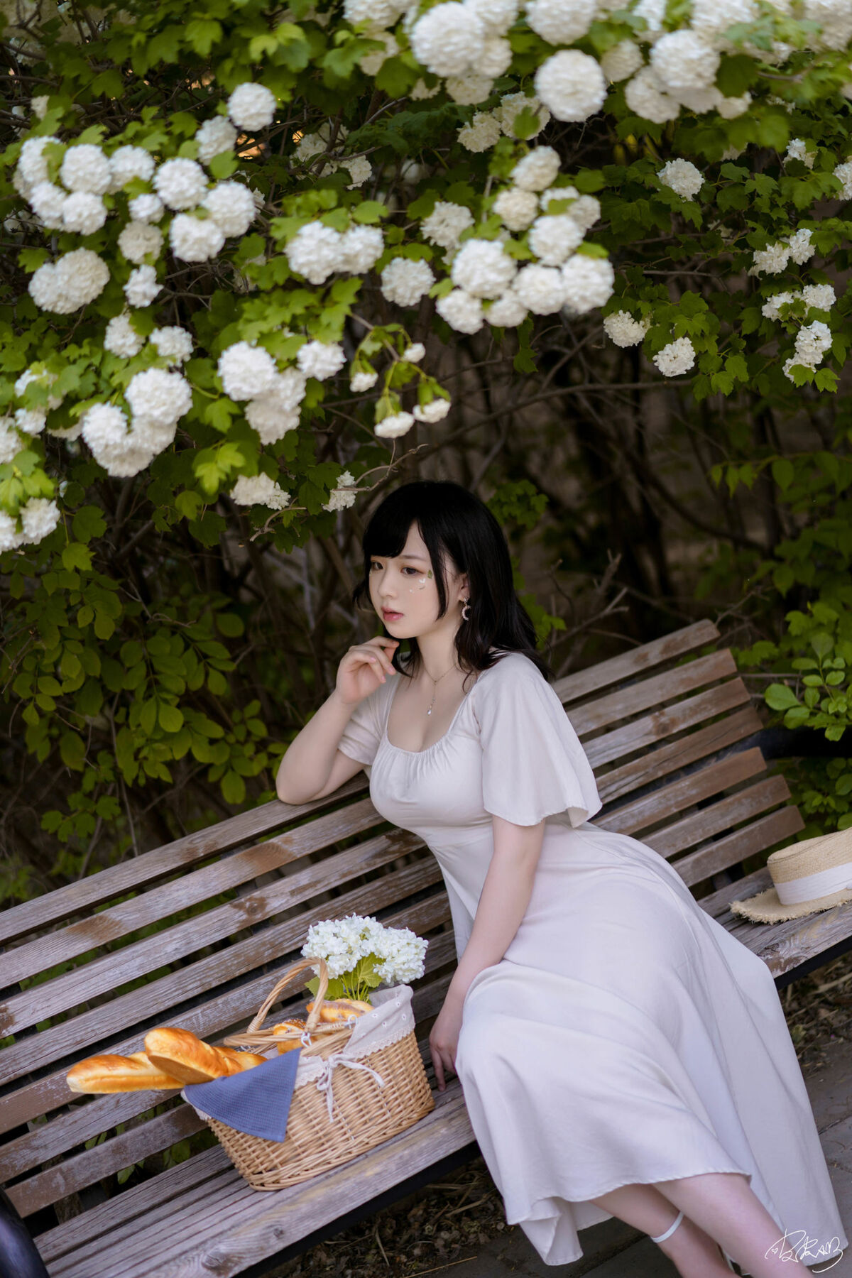 Coser@皮皮奶可可爱了啦 - 绣球花