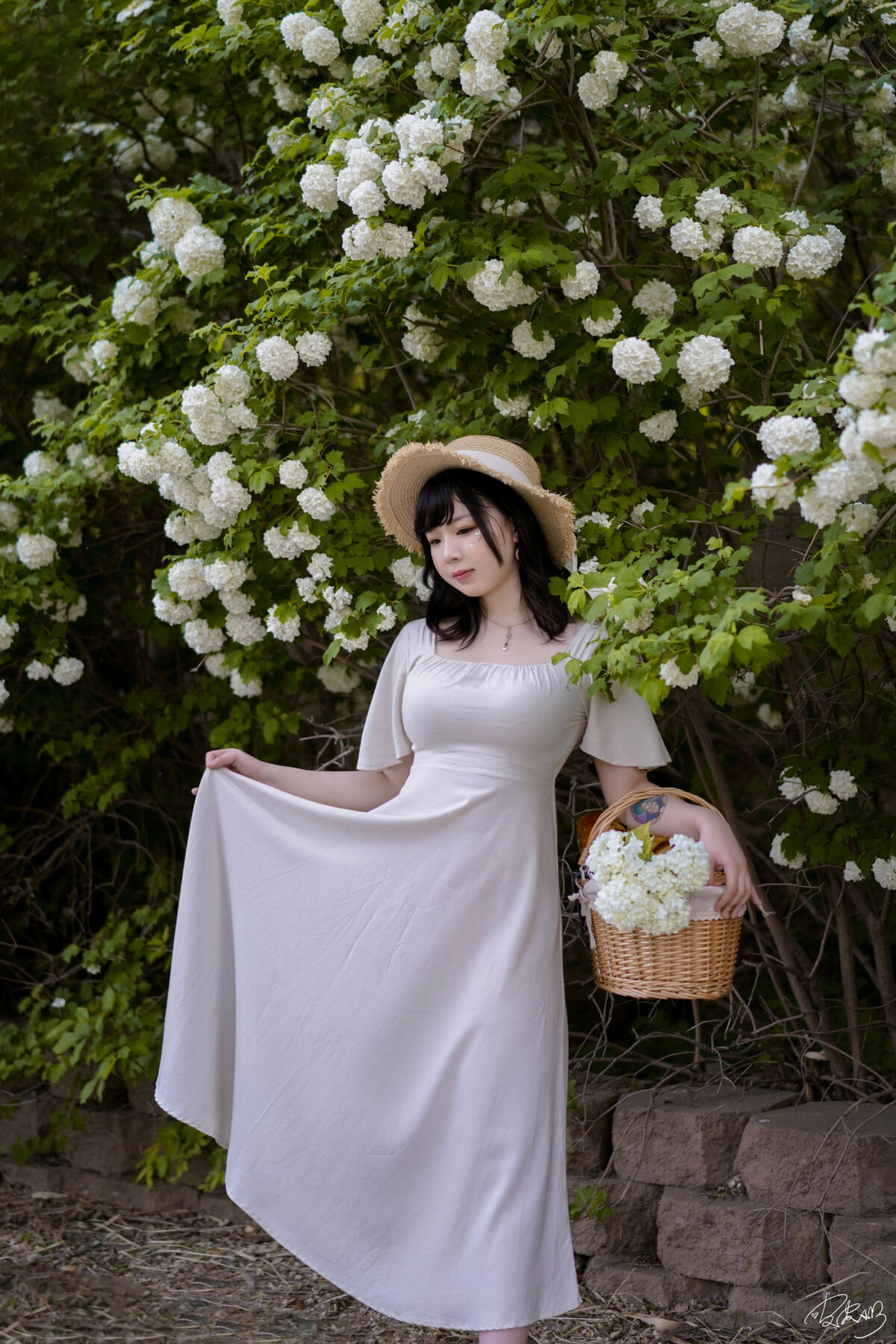 Coser@皮皮奶可可爱了啦 - 绣球花