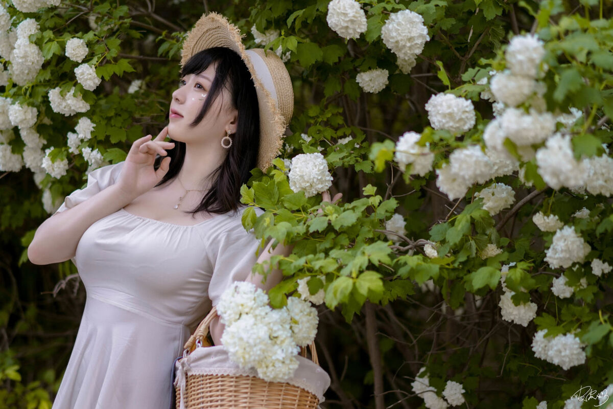 Coser@皮皮奶可可爱了啦 - 绣球花