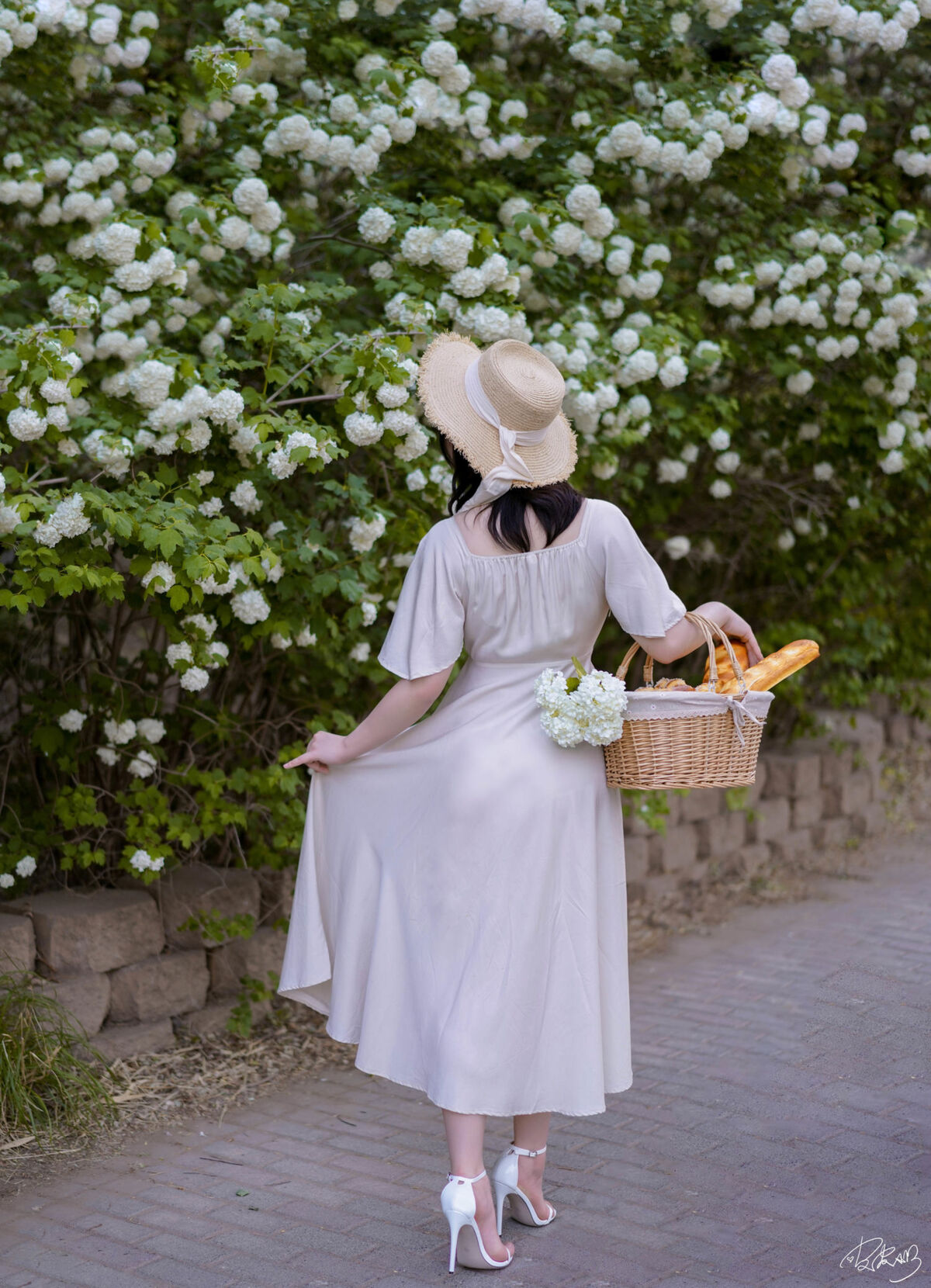 Coser@皮皮奶可可爱了啦 - 绣球花