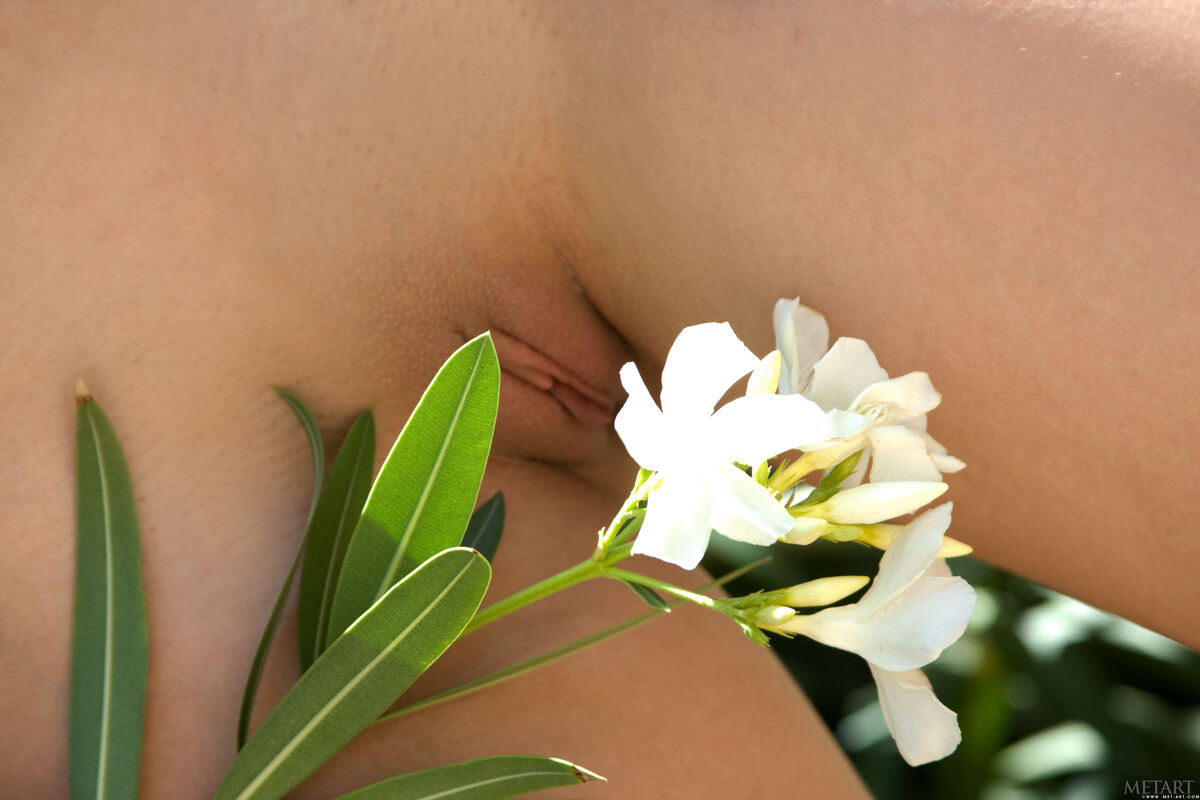 MetArt Darien - Valley Part02