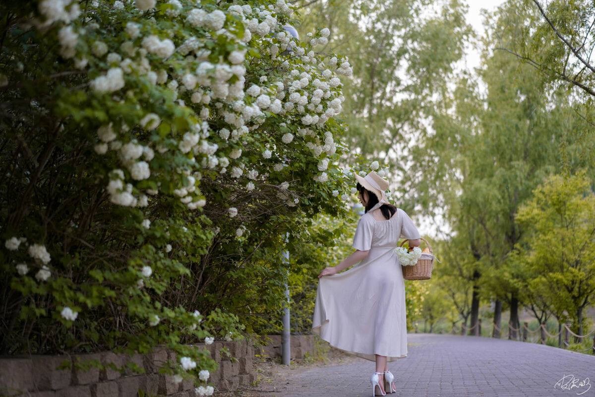 Coser@皮皮奶可可爱了啦 - 绣球花