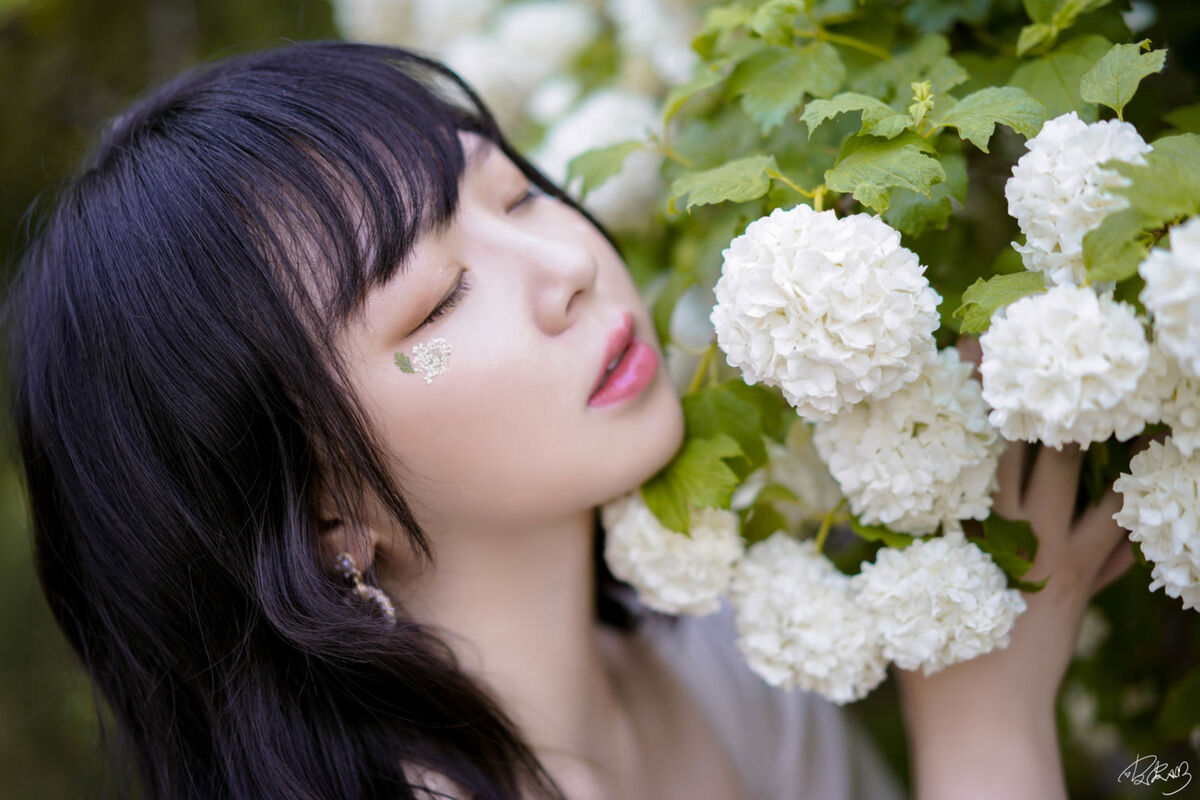 Coser@皮皮奶可可爱了啦 - 绣球花