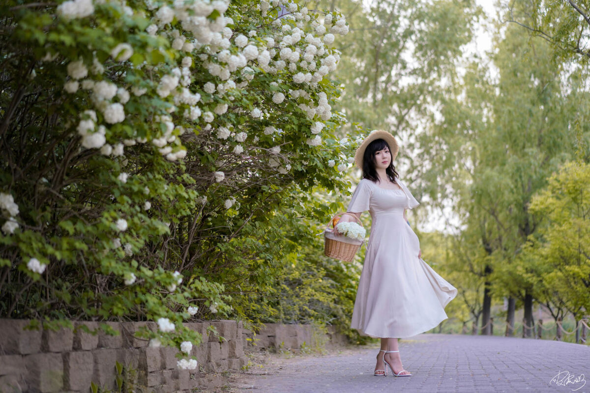 Coser@皮皮奶可可爱了啦 - 绣球花