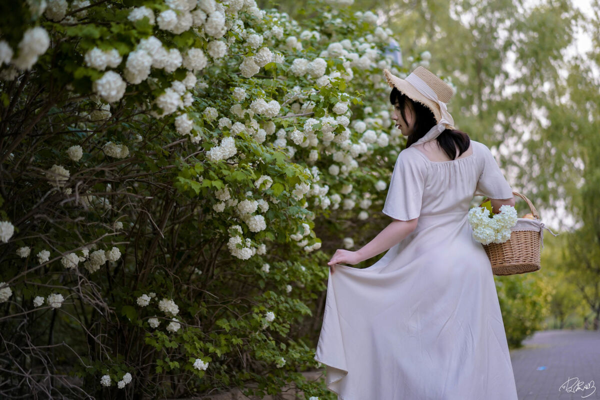 Coser@皮皮奶可可爱了啦 - 绣球花