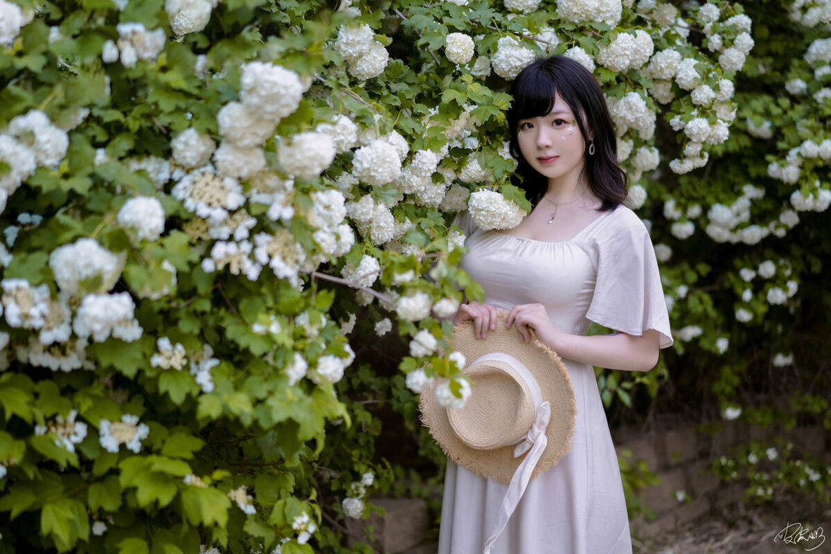 Coser@皮皮奶可可爱了啦 - 绣球花