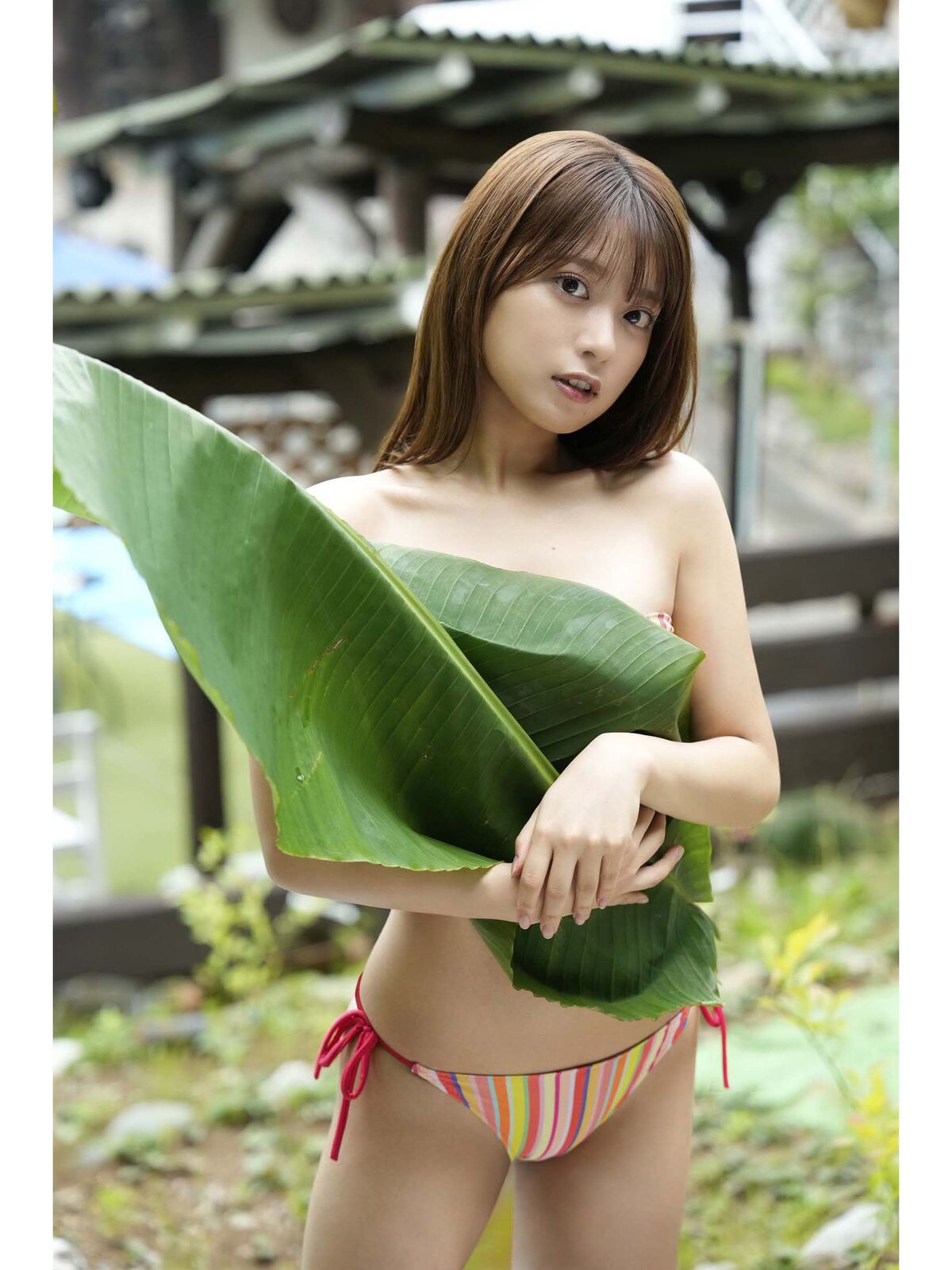 Marupi まるぴ - デジタル写真集 まるぴ観察日記 デジタルブルグラ