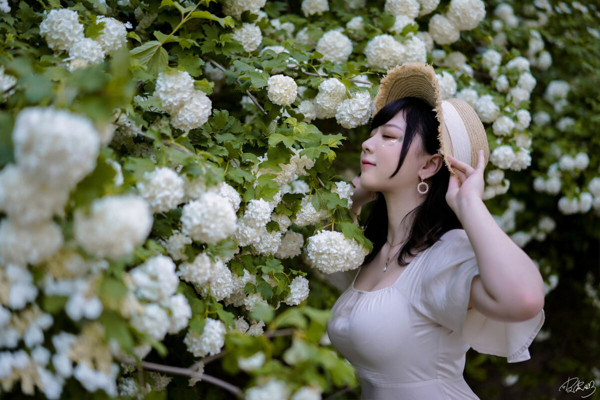 Coser@皮皮奶可可爱了啦 - 绣球花