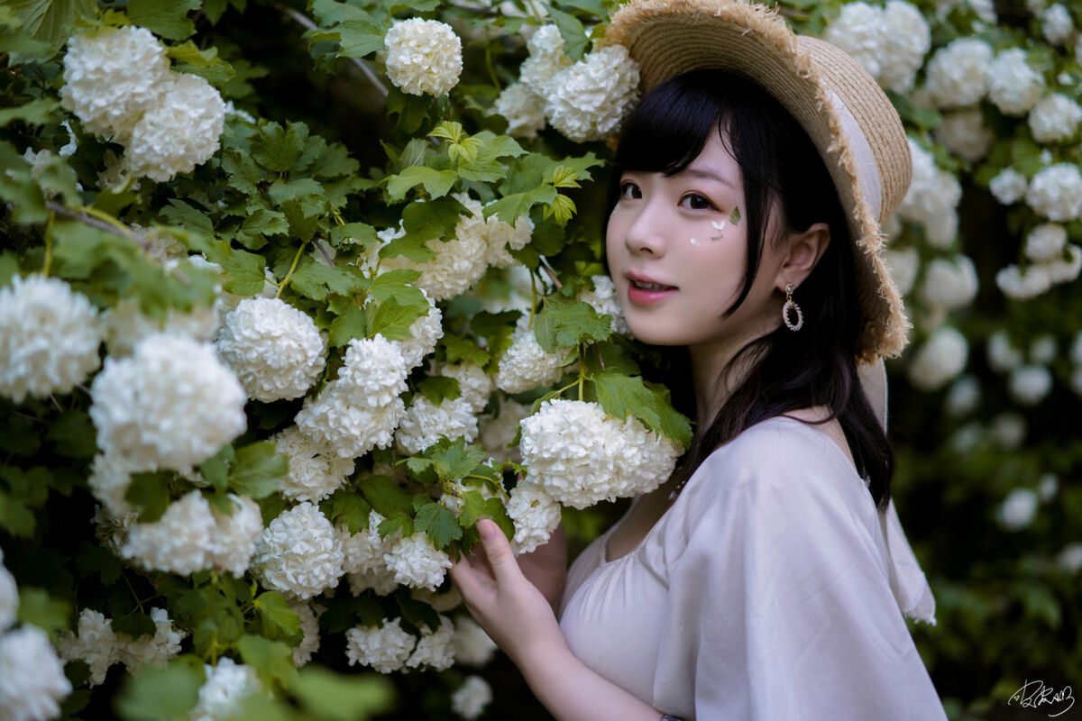 Coser@皮皮奶可可爱了啦 - 绣球花