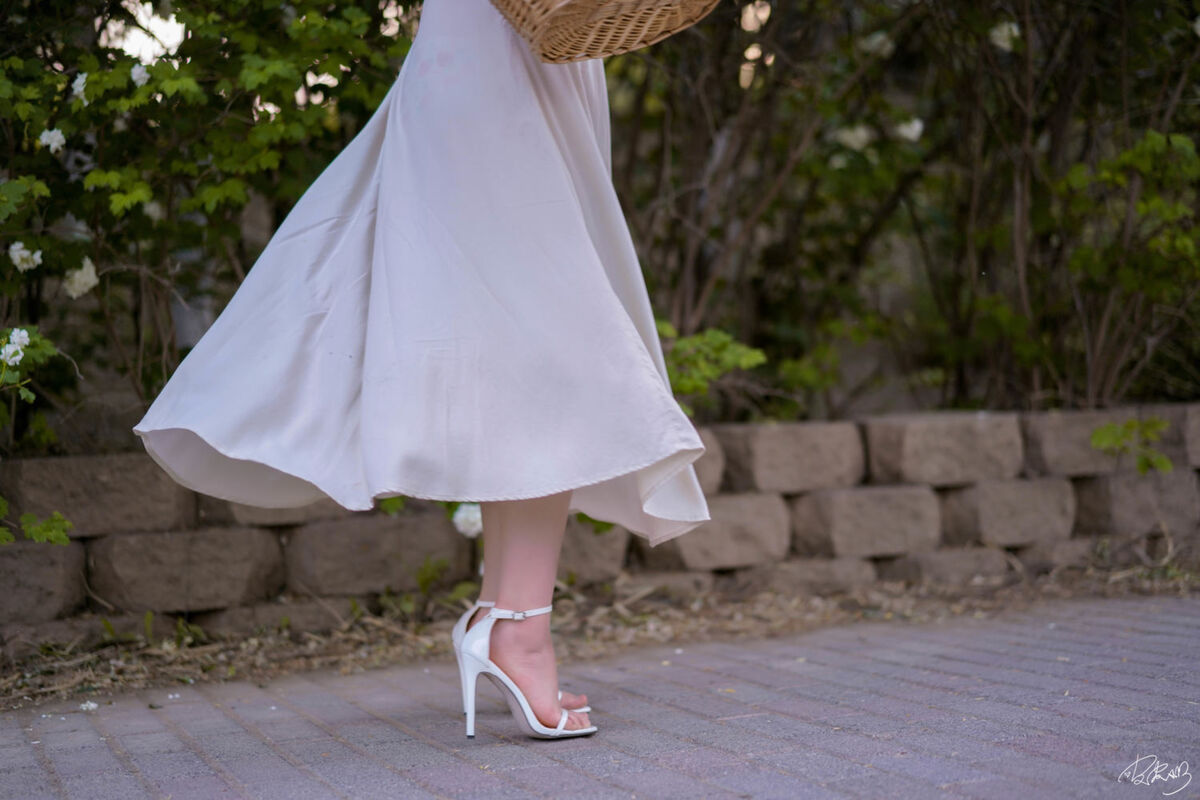 Coser@皮皮奶可可爱了啦 - 绣球花