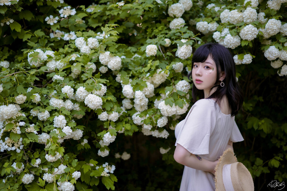 Coser@皮皮奶可可爱了啦 - 绣球花