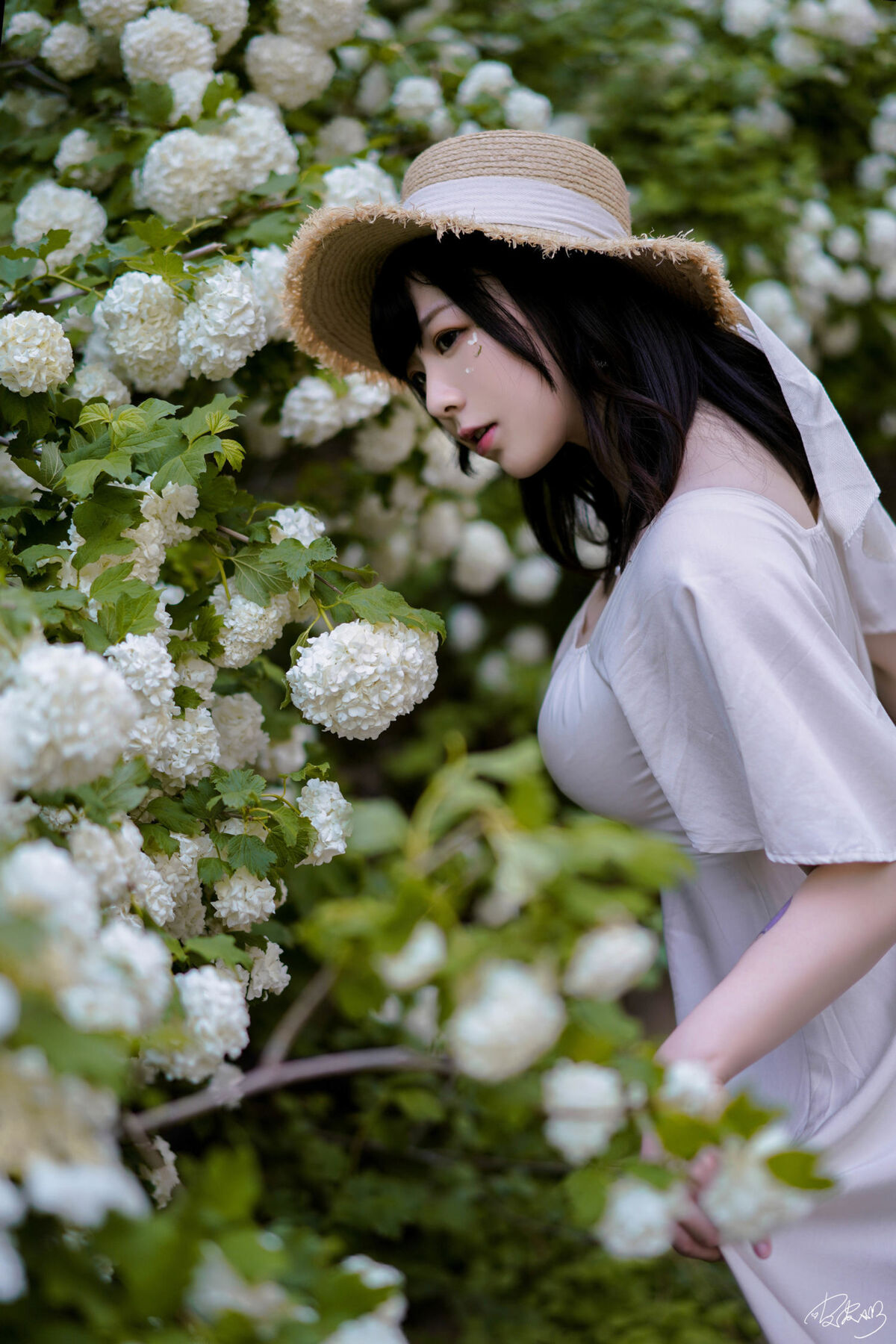 Coser@皮皮奶可可爱了啦 - 绣球花