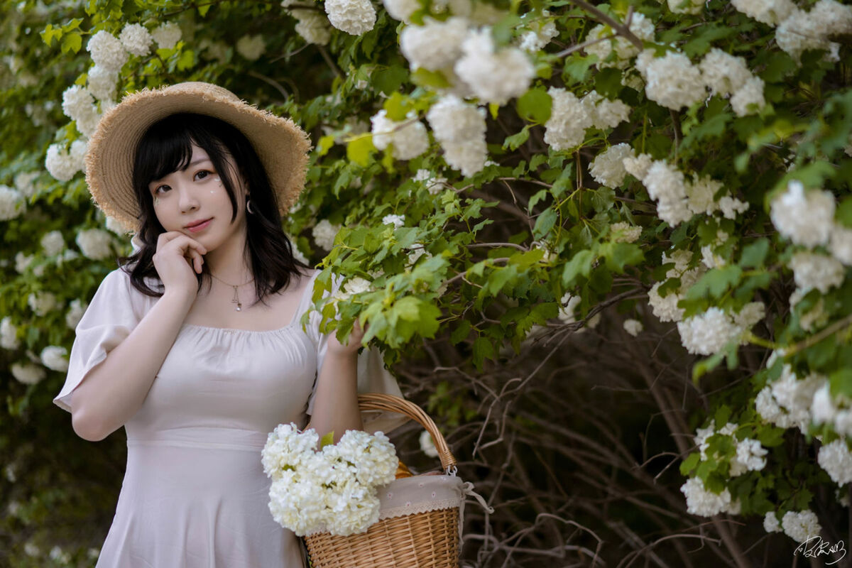 Coser@皮皮奶可可爱了啦 - 绣球花