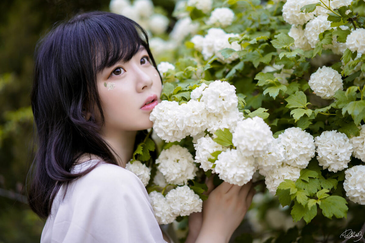 Coser@皮皮奶可可爱了啦 - 绣球花