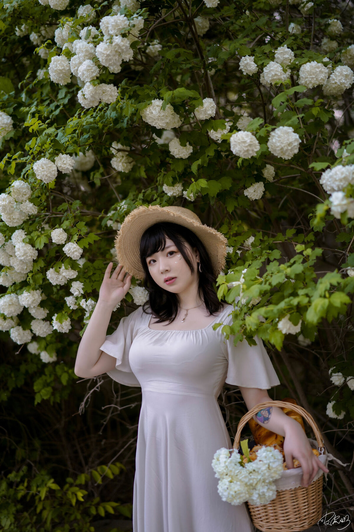 Coser@皮皮奶可可爱了啦 - 绣球花