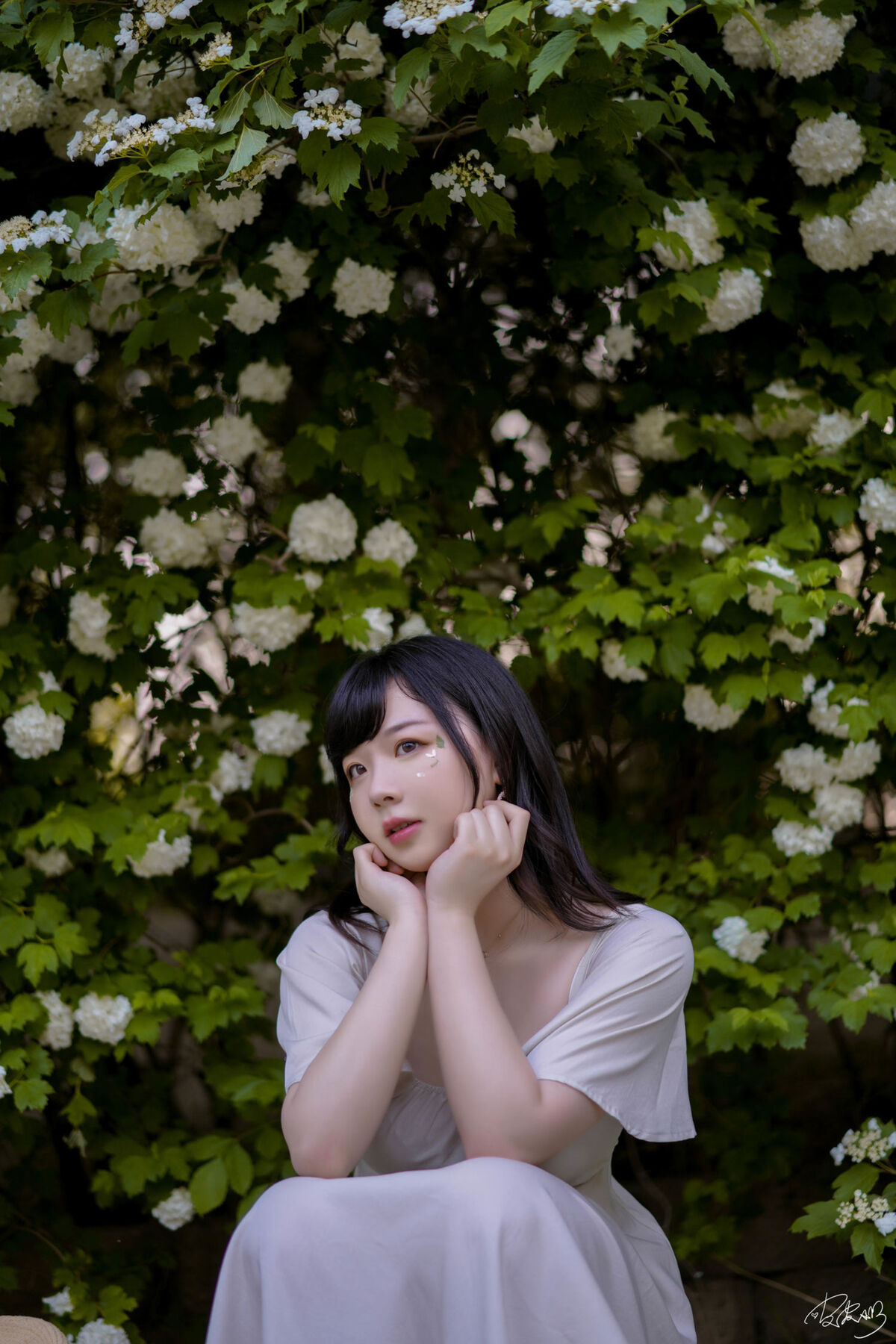 Coser@皮皮奶可可爱了啦 - 绣球花