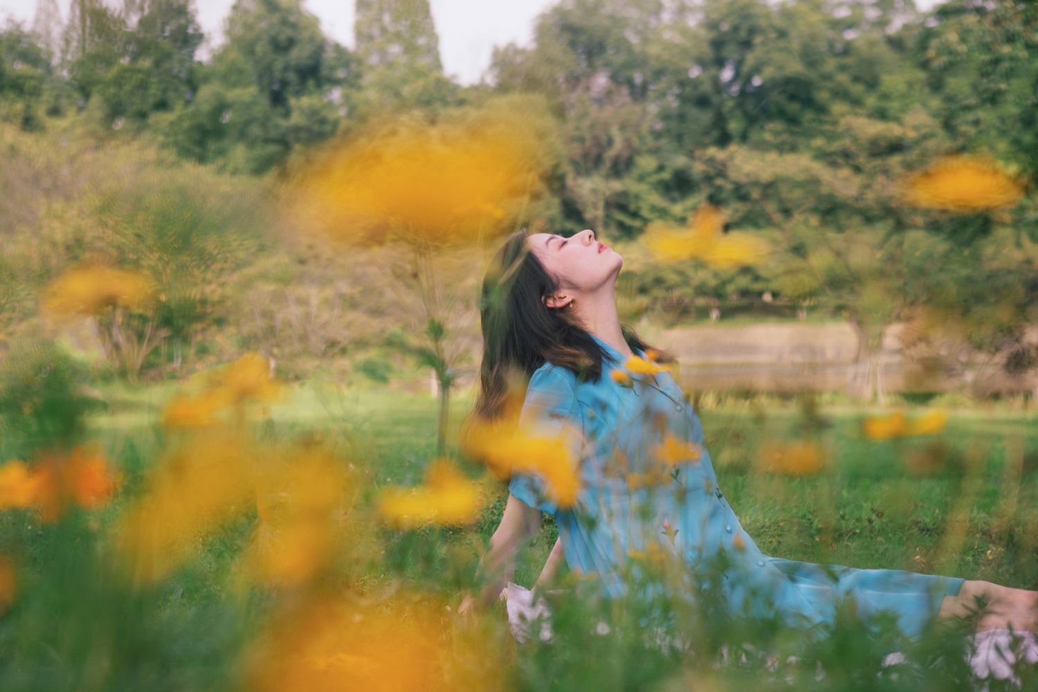 夏日伊始