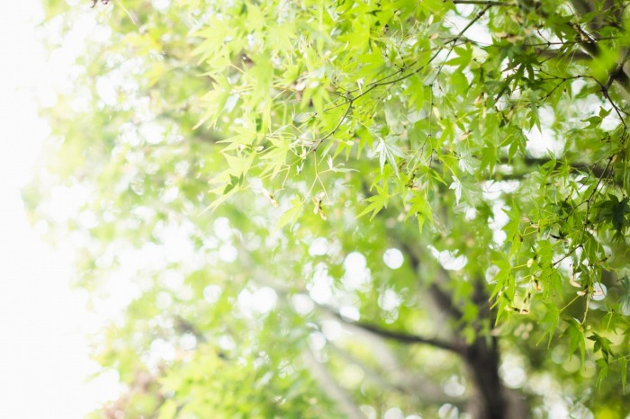 妃ひかり 国宝級Fカップおっぱいのヌード画像！