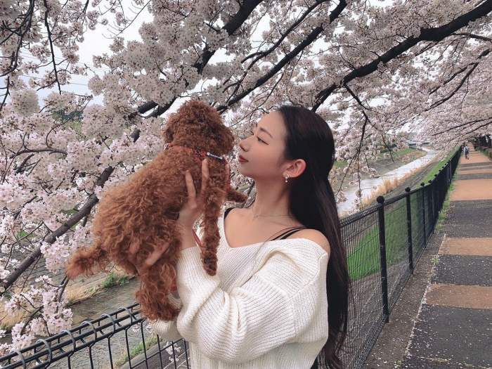 うらら 小顔美女の下着＆水着グラビア画像！