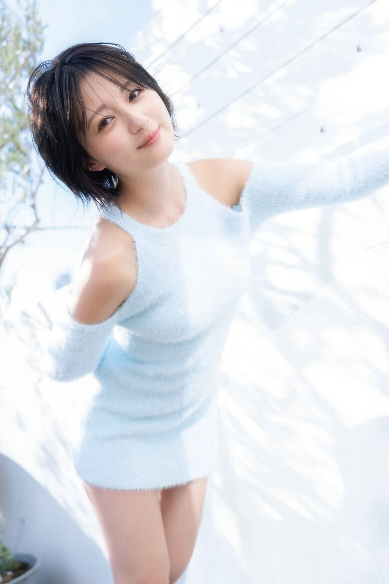 Kobashiri こばしり。, Young Animal 2026 No.05 (ヤングアニマル 2026年5号)